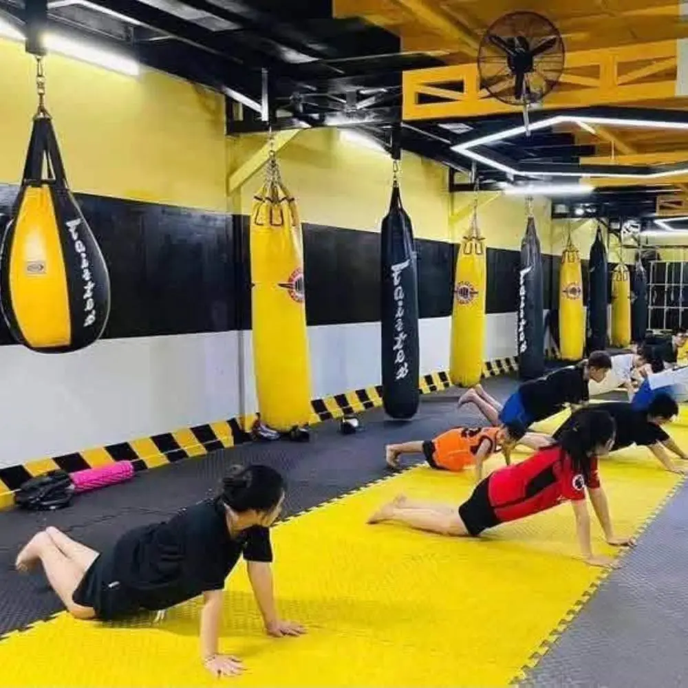 338.jpg
