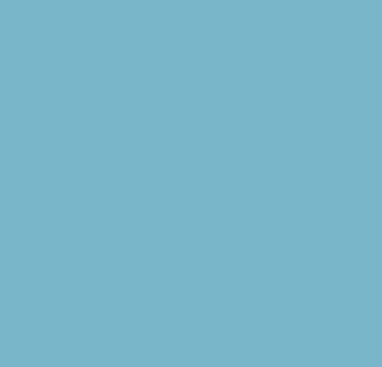 Color (4)